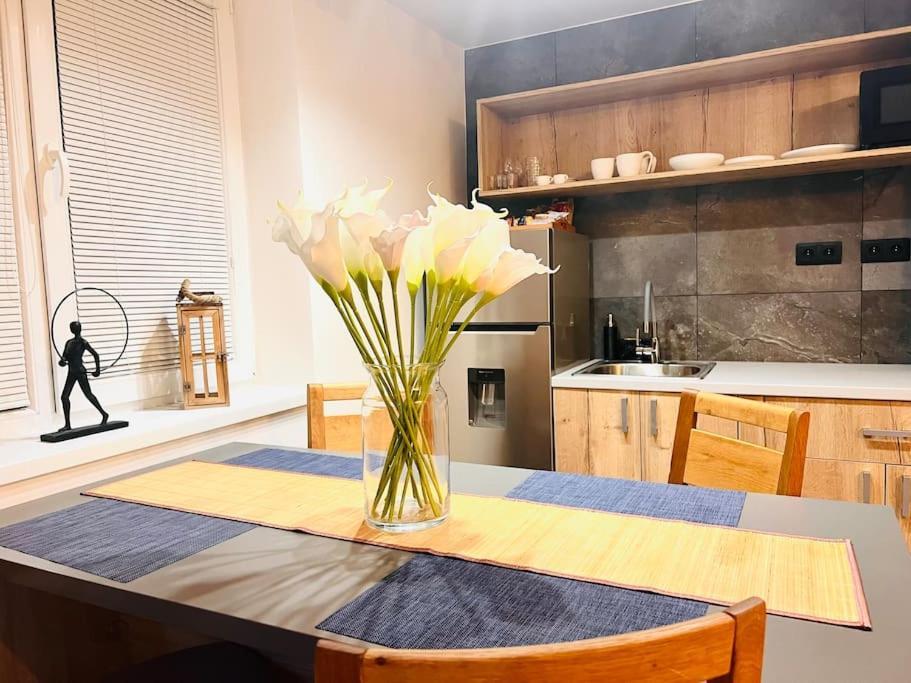 Sparrow Apartmens 2 - Vrabcia Ulica 9,