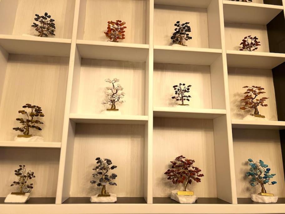 Sparrow Apartmens 2 - Vrabcia Ulica 9, 科希策
