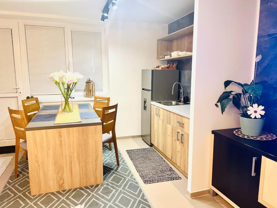 Sparrow Apartmens 2 - Vrabcia Ulica 9, 公寓 科希策